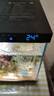 創(chuàng  )寧魚(yú)缸石英變頻加熱棒 CN-605-50W 低水位烏龜小型迷你自動(dòng)恒溫器 曬單實(shí)拍圖