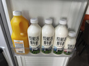 悅鮮活鮮牛奶 定期購 950ml家庭裝牛奶原生高鈣低溫鮮奶  曬單實(shí)拍圖