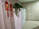 順迪頓矮衣柜實(shí)木兩門(mén)三門(mén)環(huán)保1.2米高白色成人掛衣柜低衣櫥小 定制（內結構可定制） 2門(mén) 組裝 曬單實(shí)拍圖