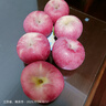 京鮮生 陜西洛川蘋(píng)果紅富士12粒 單果180-220g 生鮮水果 曬單實(shí)拍圖
