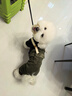 喵先生 寵物狗狗衣服小型犬泰迪衣服冬季狗衣服小狗幼犬衣服四腳棉 大口袋背帶褲XL碼 建議14-18斤內 曬單實(shí)拍圖