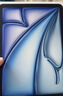 Apple/蘋(píng)果 iPad Air 11英寸 M3芯片2025年款 平板電腦 (256GB WLAN版)藍色 曬單實(shí)拍圖