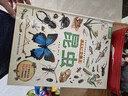 那么大立體書(shū)昆蟲(chóng) 兒童3D立體書(shū)3-6-8-10歲小學(xué)生科普百科全書(shū)互動(dòng)推拉翻翻書(shū)一二年級課外閱讀書(shū)籍繪本新年過(guò)年生日節日禮物男女孩京東自營(yíng) 青葫蘆 曬單實(shí)拍圖