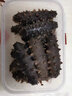 出海人福建鮮活冷凍鮮食海參500g 40-60只 刺參 免泡發(fā)方便 （小500克裝）鮮食海參40-60只 曬單實(shí)拍圖