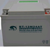 賽特BT-12M24AT蓄電池12V24Ah/20hr海灣消防主機UPS備用電池EPS BT-12M24AT 曬單實(shí)拍圖