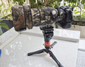 印跡眼鏡蛇A150S三代獨腳架【一鍵升降】戶(hù)外便攜單反相機專(zhuān)業(yè)攝影攝像液壓云臺獨腳支架 A150S-III獨腳架 曬單實(shí)拍圖
