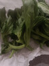 【送沙拉醬】新鮮冰草冰菜沙拉菜火鍋即食生吃生菜送沙拉醬西餐廳 新鮮冰草1斤 曬單實(shí)拍圖