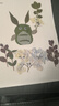 思藝彩 干花壓花樹(shù)葉植物標本DIY流蘇書(shū)簽幼兒園親子手工貼畫(huà)滴膠樹(shù)葉畫(huà) DIY樹(shù)葉畫(huà) 龍貓 曬單實(shí)拍圖