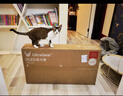 LG 31.5英寸4K顯示器240Hz OLED顯示器 DP2.1 Type-C90w 雙模4K240Hz/1K480Hz 高刷電競 32GX870A 曬單實(shí)拍圖
