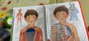 我的身體/奇妙科學(xué)洞洞書 曬單實拍圖