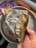 大馬哈魚(yú)黑龍江特產(chǎn)撫遠洄游新鮮速凍馬哈東北整條冷凍大魚(yú)淡水魚(yú) 整條5斤左右大馬哈魚(yú)一條 曬單實(shí)拍圖