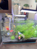 金格羽家用魚(yú)缸內(nèi)置過(guò)濾器一體機(jī)循環(huán)水泵小型凈水靜音增氧氣泵吸糞1 7W過(guò)濾器潛水泵【五合一】 曬單實(shí)拍圖
