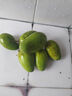 青惠悠云南酸芒果生吃酸脆青芒果芽甘草酸嘢孕婦水果新鮮送辣椒面 酸芒果2斤裝【送辣椒面】 曬單實(shí)拍圖