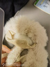 可愛(ài)真獺兔毛耳罩女冬季百搭保暖毛絨耳包騎車(chē)防風(fēng)耳暖耳捂可伸縮 【米白色】 曬單實(shí)拍圖