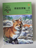 動(dòng)物小說(shuō)大王沈石溪品藏書(shū)系新版 再被狐貍騙一次 小學(xué)生三四五六年級課外兒童文學(xué)書(shū) 童書(shū)故事書(shū) 曬單實(shí)拍圖