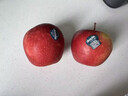 Dazzle丹爍蘋(píng)果新西蘭蘋(píng)果進(jìn)口水果紅玫瑰蘋(píng)果年貨禮盒送女朋友 10個(gè)裝【單果140-160g】 新西蘭進(jìn)口丨dazzle丹爍蘋(píng)果 曬單實(shí)拍圖