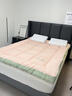 南極人（Nanjiren）床墊子1.5x2米加厚床墊褥子家用床被褥墊可折疊榻榻米軟墊子鋪底 負離子-膠月白 90*200cm 曬單實(shí)拍圖