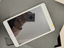 Apple蘋(píng)果ipad9/10/Pro2022/21/20款 /air6/mini6/5二手平板電腦 iPad mini4 曬單實(shí)拍圖