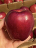 味果生甘肅天水花牛蘋(píng)果應季新鮮孕婦水果粉面沙甜寶寶輔食刮果泥紅蛇果 9斤大果80-85mm凈重8.5斤 曬單實(shí)拍圖