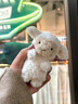 Jellycat可愛(ài)小羊娃娃毛絨公仔包包掛飾陪伴安撫玩偶禮物 卷毛小羊掛件 17cm配防塵袋 曬單實(shí)拍圖