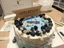 曼恒新鮮水果奶油生日蛋糕同城配送當天配送網(wǎng)紅男女朋友老人兒童蛋糕 U款藍莓蛋糕 6英寸(適合1-2人) 曬單實(shí)拍圖