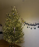 真圣誕樹(shù)真樹(shù)盆栽真正的圣誕樹(shù)香松樹(shù)挪威云杉樹(shù)苗鮮活的室內綠植 90-110厘米高圣誕樹(shù)真樹(shù)+盆+裝飾 【精品樹(shù)形】 曬單實(shí)拍圖