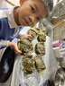 蘇州鮮活大閘蟹現貨鮮活禮盒螃蟹河蟹清水養殖產(chǎn)地直發(fā)特大公蟹 公蟹6兩6只裝 曬單實(shí)拍圖
