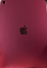 Apple/蘋(píng)果 iPad11英寸 A16芯片2025年款 平板電腦 (256GB WLAN版/學(xué)習辦公娛樂(lè ))粉色 曬單實(shí)拍圖
