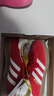 阿迪達斯（adidas）三葉草男女鞋GAZELLE INDOOR低幫休閑鞋IF1808紅白37 曬單實(shí)拍圖
