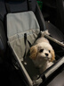 HOUYA寵物車(chē)載窩適用15斤內狗狗車(chē)載座椅貓狗車(chē)載墊前排安全座椅 曬單實(shí)拍圖