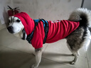 Lanswood 狗狗衣服拉布拉多金毛大型犬小型犬泰迪柯基柴犬狗衣服中大型犬 紅衣-中國年獸 6X建議40斤左右 曬單實(shí)拍圖