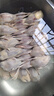 大號母鵪鶉新鮮鵪鶉肉速凍白條鵪鶉燒烤鵪鶉鳥(niǎo)現殺乳鴿生鮮批發(fā) 【20只】宰殺后3兩左右大鵪鶉 曬單實(shí)拍圖
