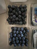 云南藍莓現發(fā)露天藍莓果超甜孕婦水果當季新鮮水果 單果12mm+ 2盒200g 曬單實(shí)拍圖