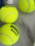 天龍（Teloon）網(wǎng)球訓練球進(jìn)階初學(xué)專(zhuān)業(yè)比賽網(wǎng)球耐磨 801初學(xué)訓練-散裝10個(gè) 送雙肩背帶 曬單實(shí)拍圖