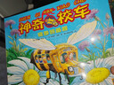 自選】神奇校車(chē)圖畫(huà)書(shū)版注音拼音版手工益智版等系列 兒童繪本科普百科全書(shū)課外書(shū)籍 神奇校車(chē)注音拼音版全套12冊 曬單實(shí)拍圖