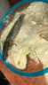 黑魚(yú)苗淡水養殖食用生魚(yú)苗特大好養耐活兇猛冷水觀(guān)賞魚(yú)烏鱧小財魚(yú)苗烏魚(yú)苗批發(fā) 優(yōu)質(zhì)黑魚(yú)苗 2條8-10cm黑魚(yú)苗 曬單實(shí)拍圖