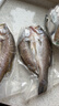 海鼎紀三去海鱸魚(yú)2條裝共800g 開(kāi)背鱸魚(yú)生鮮魚(yú)類(lèi) 海鮮水產(chǎn)夜宵食材 曬單實(shí)拍圖
