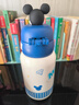 迪士尼（Disney）兒童保溫杯316男女小學(xué)生上學(xué)專(zhuān)用550ml吸管水壺帶杯套10655-3 曬單實(shí)拍圖