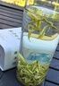 安吉白茶官方旗艦店綠茶2025新茶茶葉安吉白茶綠茶茶葉自己喝口糧茶多規格 【特惠罐裝 雨前特級】125g*2罐 曬單實(shí)拍圖