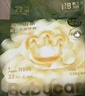 babycare金山茶花拉拉褲XL34片*2包(12-17kg)嬰兒尿不濕超薄透氣花苞褲 曬單實(shí)拍圖