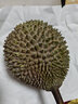 趣嘗鮮貓山王榴蓮馬來(lái)西亞D197液氮冷凍凈重3.5-4.0斤/個(gè) 曬單實(shí)拍圖