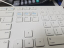 戴爾(DELL)KB216 有線(xiàn)鍵盤(pán) 辦公鍵盤(pán) 全尺寸鍵盤(pán)  USB接口 白色 曬單實(shí)拍圖