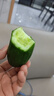 山東壽光水果黃瓜生吃脆新鮮荷蘭青瓜當季無(wú)刺小黃瓜源頭直發(fā) 精品水果黃瓜 3斤 曬單實(shí)拍圖