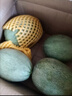 京鮮生網(wǎng)紋蜜瓜 凈重4.5-5斤 2-3粒 源頭直發(fā)包郵 曬單實(shí)拍圖