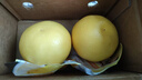 牛愛(ài)鮮 柚子黃金葡萄柚子新鮮水果生鮮水果 4.5斤裝6-8個(gè)果子單果250g+ 曬單實(shí)拍圖