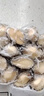 鮑魚(yú)肉鮮活加工凈肉去殼去牙去內臟鮑魚(yú)火鍋撈汁燒烤可商用 35只左右/斤（強推薦）一包 曬單實(shí)拍圖