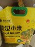 吾谷為伴敖漢小米5斤 新米赤峰小米粥黃小米 金苗k1蒸飯更軟糯 曬單實(shí)拍圖