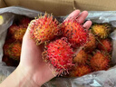 【順豐速運】海南紅毛丹新鮮水果當季熱帶毛荔枝毛丹果現摘5包郵 帶箱4斤裝 曬單實(shí)拍圖
