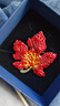 伊黛兒胸針高檔女精致橘紅色水鉆楓葉別針扣設計感小眾西服胸花點(diǎn)綴配飾 水鉆楓葉胸針XZ0505 曬單實(shí)拍圖