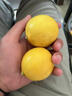 優(yōu)味集進(jìn)口新奇士檸檬【JD順豐現貨速發(fā)】新鮮南非黃檸檬生鮮水果整箱 1斤凈重 商超級大果（單果120g+） 曬單實(shí)拍圖
